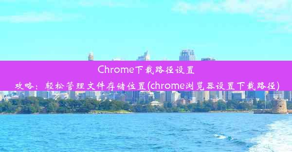 Chrome下载路径设置攻略：轻松管理文件存储位置(chrome浏览器设置下载路径)