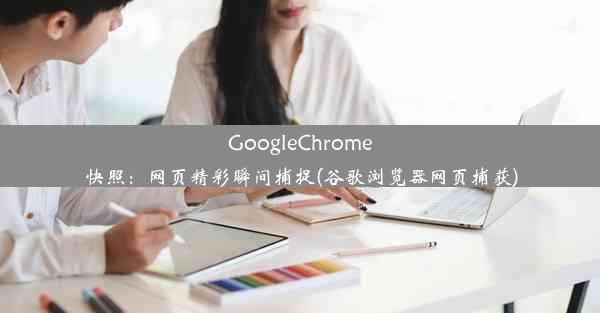 GoogleChrome快照：网页精彩瞬间捕捉(谷歌浏览器网页捕获)