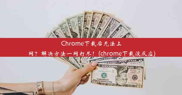 Chrome下载后无法上网？解决方法一网打尽！(chrome下载没反应)