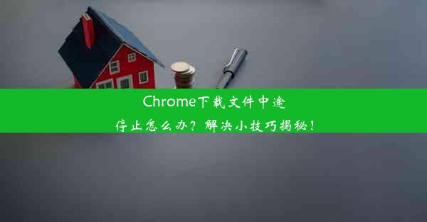 Chrome下载文件中途停止怎么办？解决小技巧揭秘！