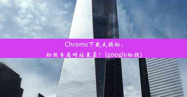 Chrome下载大揭秘：粉丝专属网站来袭！(google粉搜)