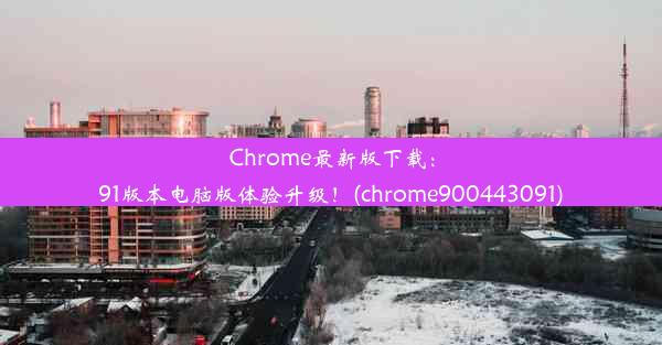 Chrome最新版下载：91版本电脑版体验升级！(chrome900443091)