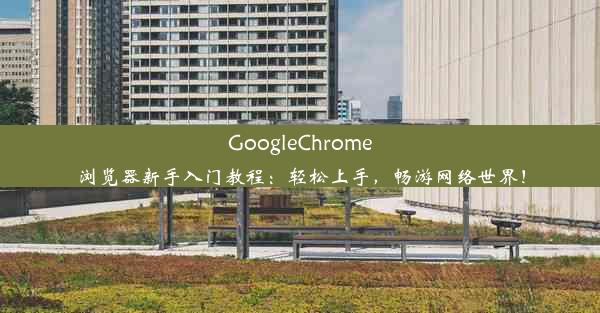 GoogleChrome浏览器新手入门教程：轻松上手，畅游网络世界！