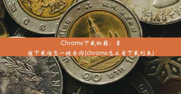 Chrome下载秘籍：掌握下载信息一键查询(chrome怎么看下载列表)