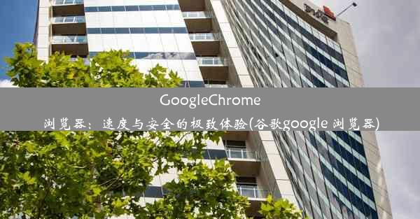 GoogleChrome浏览器：速度与安全的极致体验(谷歌google 浏览器)