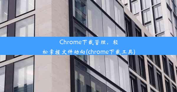 Chrome下载管理，轻松掌握文件动向(chrome下载工具)