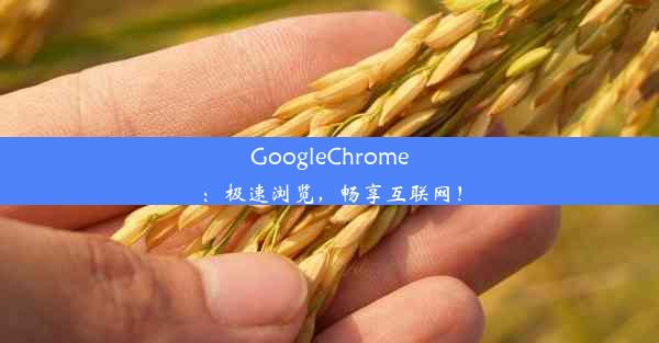 GoogleChrome：极速浏览，畅享互联网！