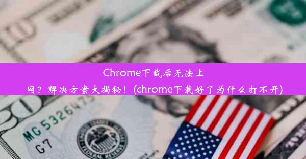 Chrome下载后无法上网？解决方案大揭秘！(chrome下载好了为什么打不开)