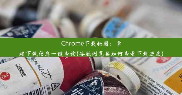 Chrome下载秘籍：掌握下载信息一键查询(谷歌浏览器如何查看下载进度)