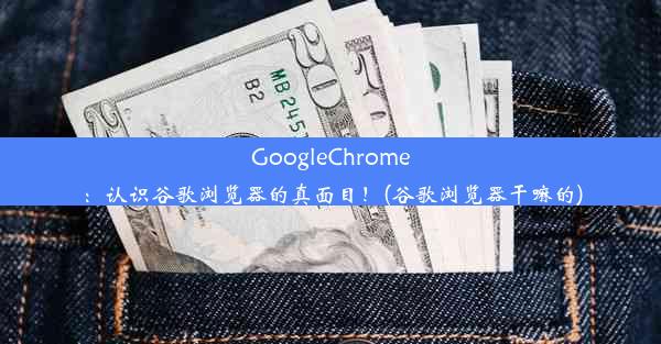 GoogleChrome：认识谷歌浏览器的真面目！(谷歌浏览器干嘛的)