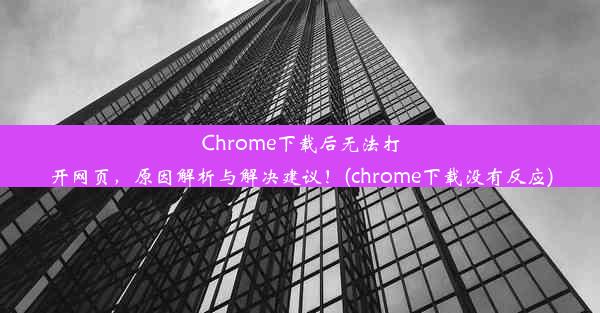 Chrome下载后无法打开网页，原因解析与解决建议！(chrome下载没有反应)