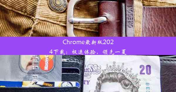 Chrome最新版2024下载：极速体验，领先一夏