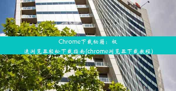 Chrome下载秘籍：极速浏览器轻松下载指南(chrome浏览器下载教程)