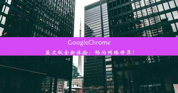 GoogleChrome英文版全新体验：畅游网络世界！