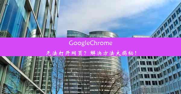 GoogleChrome无法打开网页？解决方法大揭秘！