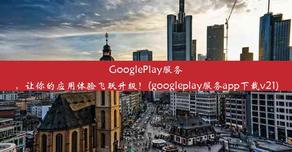 GooglePlay服务，让你的应用体验飞跃升级！(googleplay服务app下载v21)