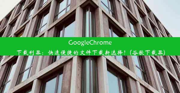 GoogleChrome下载利器：快速便捷的文件下载新选择！(谷歌下载器)