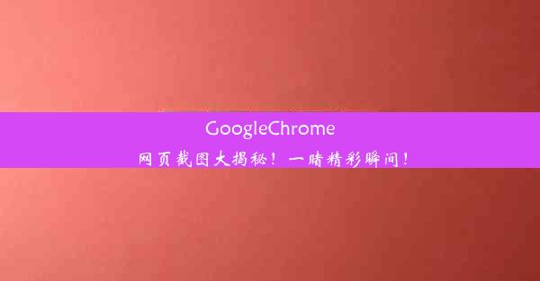 GoogleChrome网页截图大揭秘！一睹精彩瞬间！