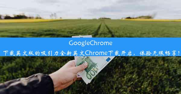 GoogleChrome下载英文版的吸引力全新英文Chrome下载开启，体验无限畅享！